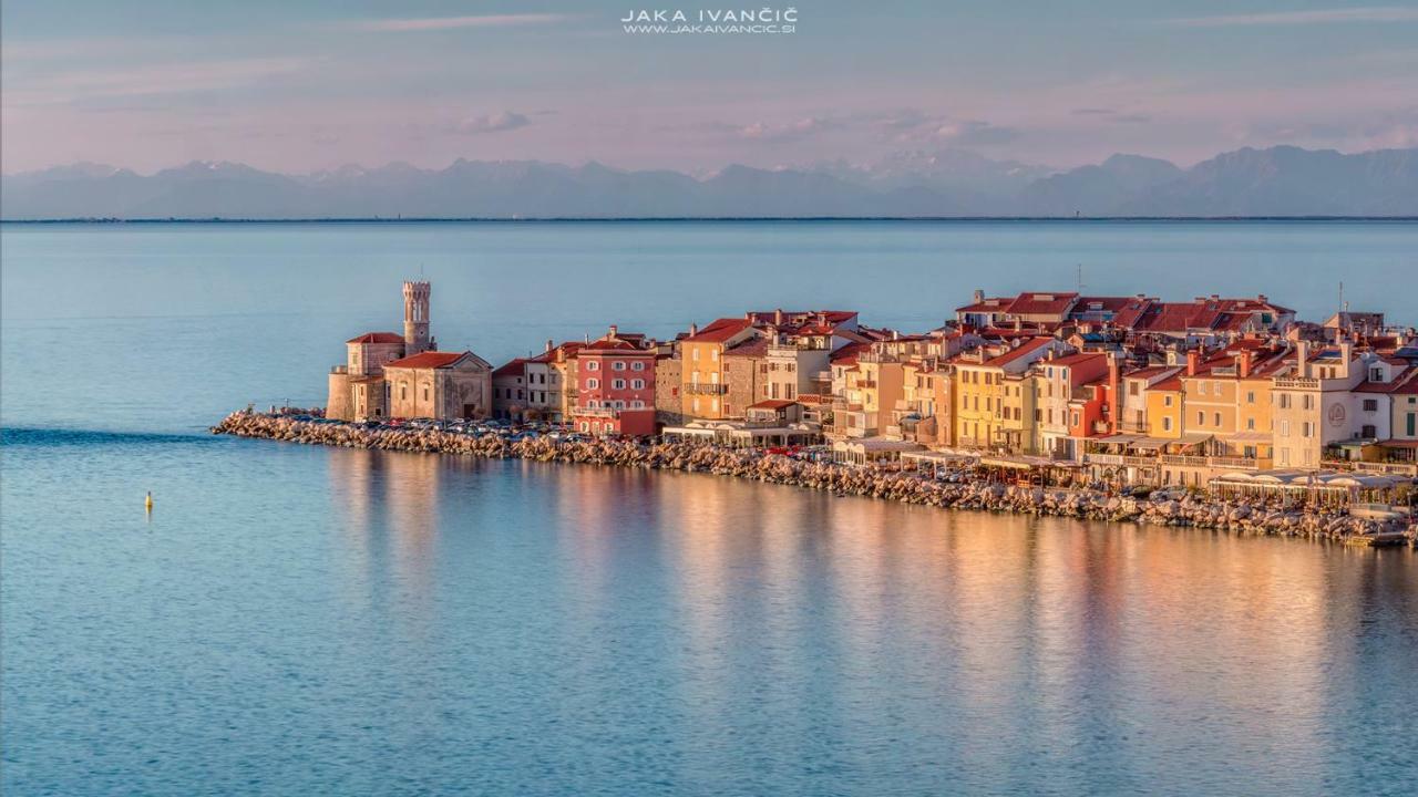 Istrian Lux Residence Koper Eksteriør bilde